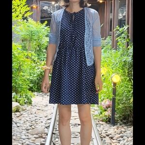 Navy Polka Dot A-Line Dress
